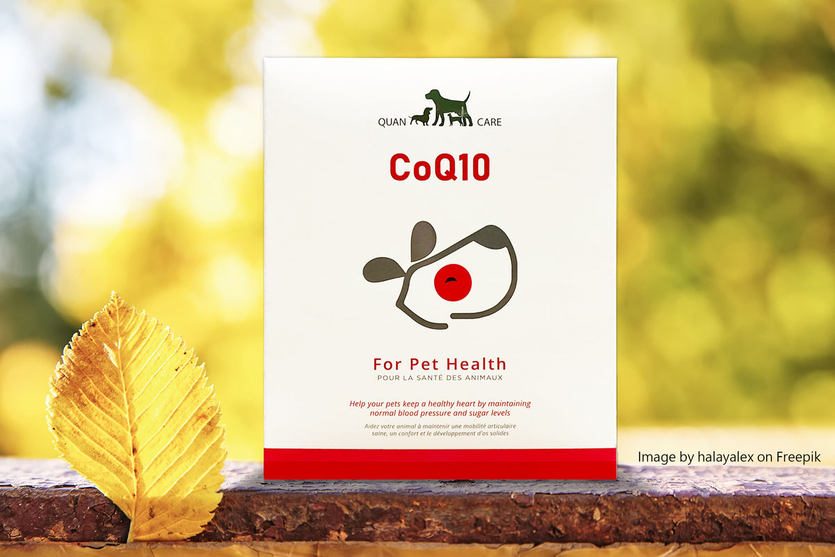 CoQ10