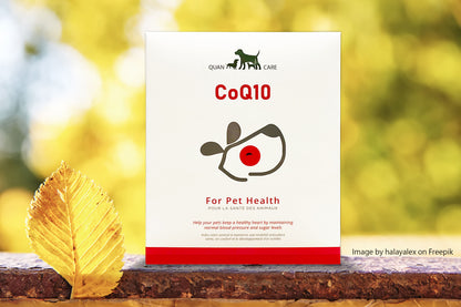CoQ10