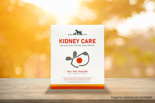 Kidney Care